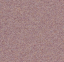 Ковровая плитка Tessera Chroma 3622 Wisteria фото 1 | FLOORDEALER